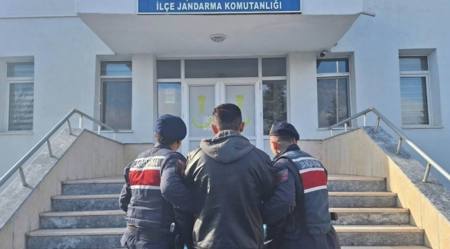 Jandarma ticaretini yaparken yakaladı