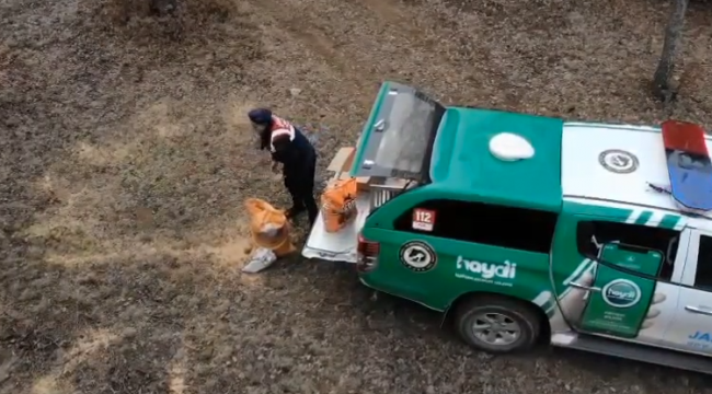 Jandarma yaban hayvanları için doğaya yem bıraktı